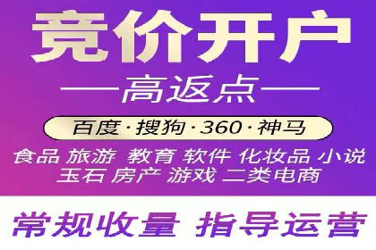 百度竞价排名机制：成功案例与策略探讨