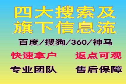 SEM外包策略在电商平台的成功案例